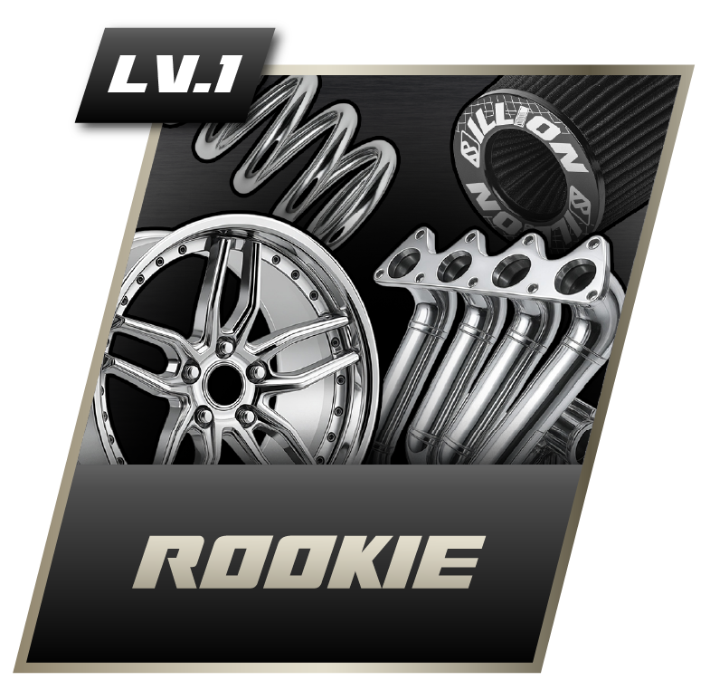 Rookie lv.1